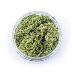 easyjoint seedsless nova cannabis light 2
