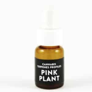 pink plant cali terpenes
