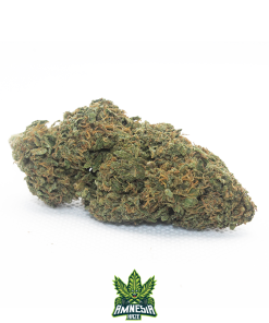 amnesia haze cannabis light cbd 1
