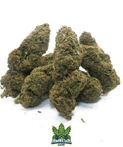 amnesia haze cannabis light cbd 4
