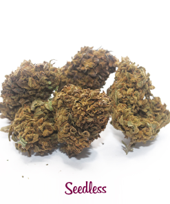 seedless cannabis light cbd 1