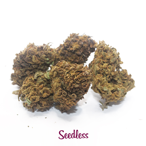 seedless cannabis light cbd 1