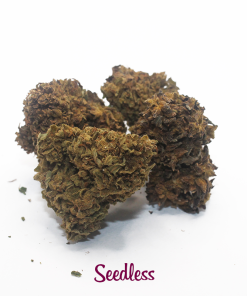 seedless cannabis light cbd 2
