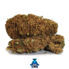 moby dick cannabis cbd 1