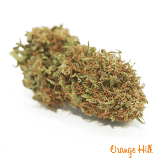 orange hill 2