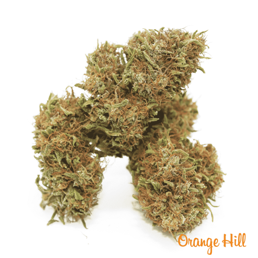 orange hill 3