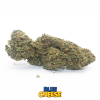 blue cheese cannabis light cbd 1