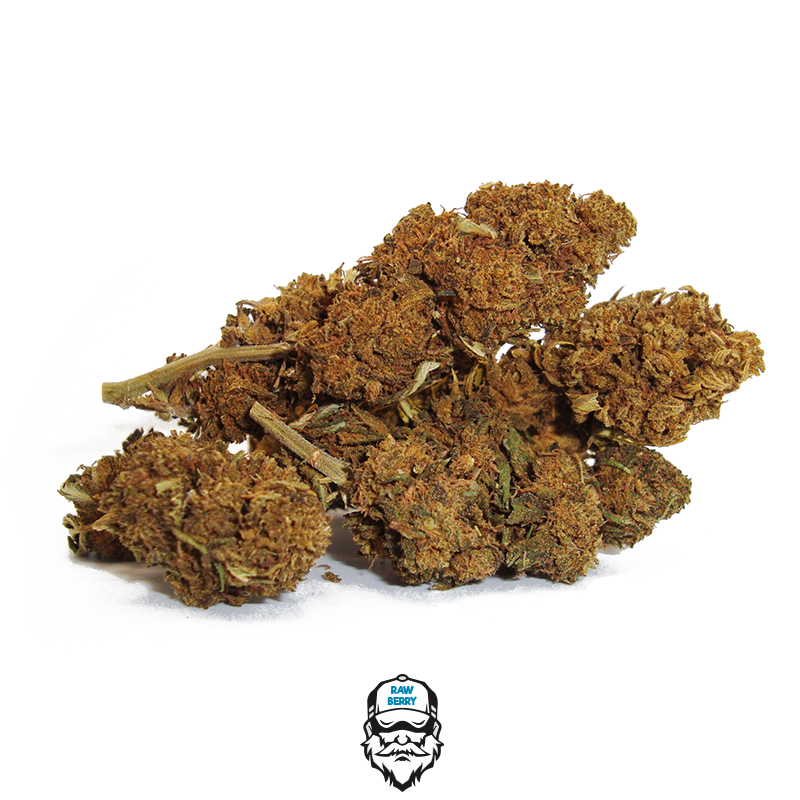 raw berry cannabis cbd 1