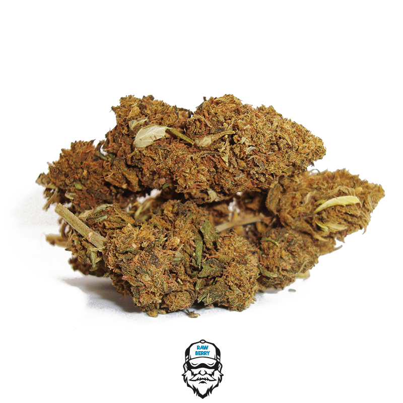 raw berry cannabis cbd 2