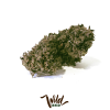 wild bud cannabis light cbd
