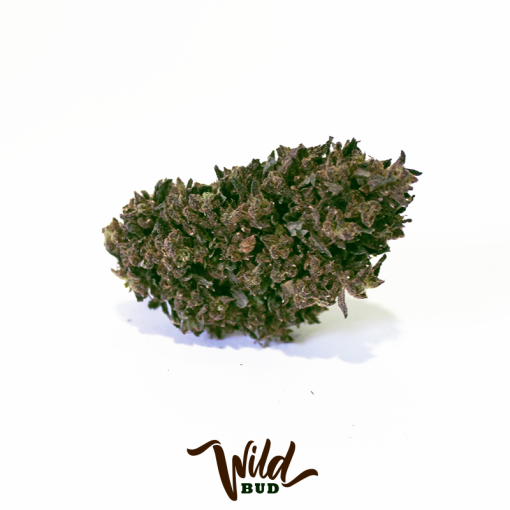 wild bud cannabis light cbd 2