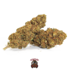 cbg white haze cannabis light 1