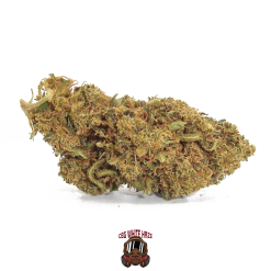 cbg white haze cannabis light 2