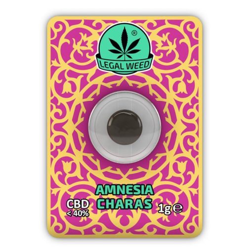 amnesia charas legal weed