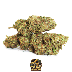 oreoz cheesecake cannabis light cbd