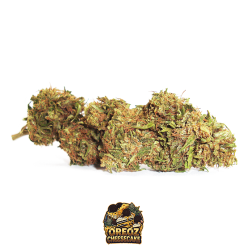 oreoz cheesecake cannabis light cbd 3
