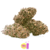 purple lemonade canapa light 3