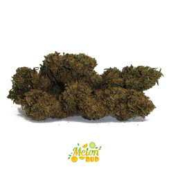 Cannabis CBD Greenhouse