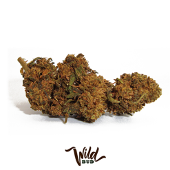 Cannabis CBD Outdoor