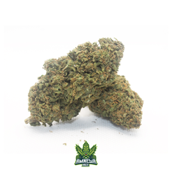 Cannabis Extra CBD Indoor