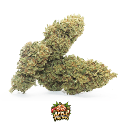 apple fritter cannabis light cbd 2