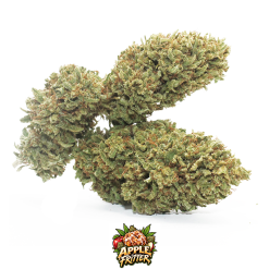 apple fritter cannabis light cbd